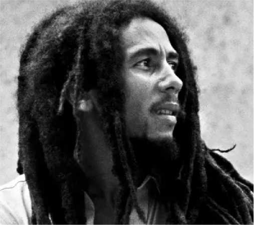 Gratis Marley T-Shirt  bij je bestelling!