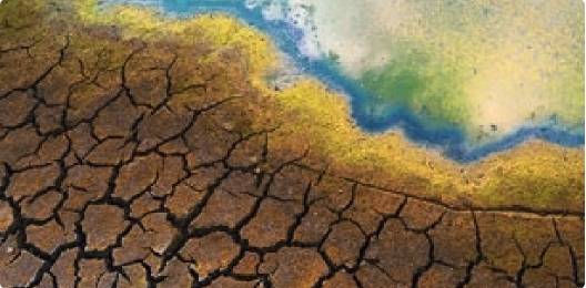 Climate