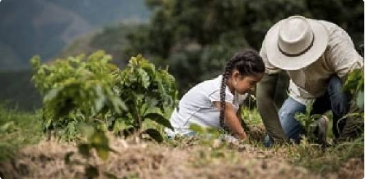 Social Impact
